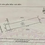 Chính chủ bán đất Vinh Hưng mặt đường Xuân Liễu mở rộng 12m (Xóm 2 Nghi Kim cũ - Nghệ An) - Ảnh thu nhỏ 3