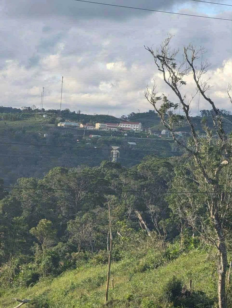 Bán lô đất nông nghiệp 5.500m² tại Măng Đen, view thung lũng - Ảnh thu nhỏ 2