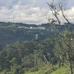 Bán lô đất nông nghiệp 5.500m² tại Măng Đen, view thung lũng - Ảnh thu nhỏ 2