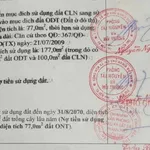 Bán đất nền Kênh Tập Đoàn 2, Phú Tân, Bến Tre, 177m² - Ảnh thu nhỏ 2