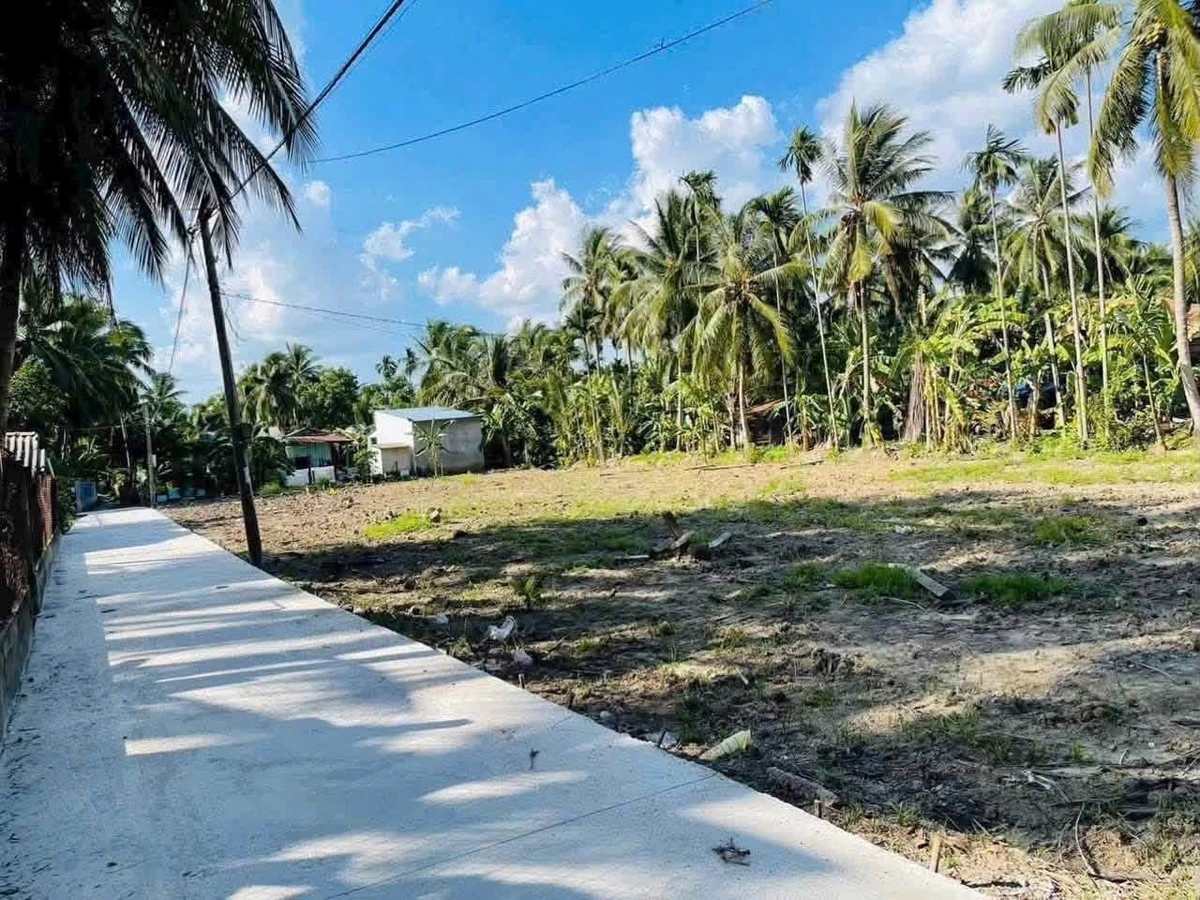 Bán đất thổ cư 160m² Xuân Đông, Chợ Gạo, Tiền Giang giá 320 triệu - Ảnh thu nhỏ 2