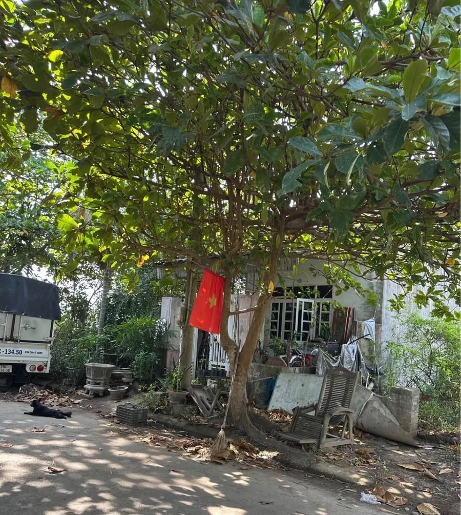 Bán lô đất 298m² khu TD2 Thuỷ Vân, Vỹ Dạ, Huế 5,2 tỷ - Ảnh thu nhỏ 2