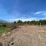 Bán đất Suối Đá Bình Chánh 195m2 - Ảnh thu nhỏ 1