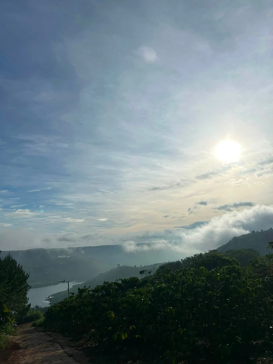Bán đất nghỉ dưỡng hơn 200m2 view sông Đồng Nai, xã Tân Nghĩa, Di Linh, Lâm Đồng, giá hơn 700 triệu - Ảnh thu nhỏ 2