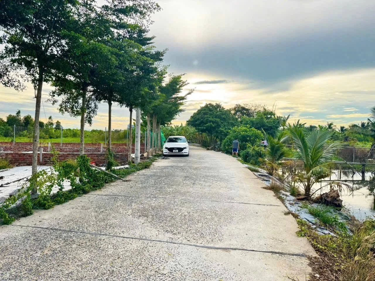 Bán 2 nền liền kề 300m² Phường An Bình, Cần Thơ - Ảnh 1