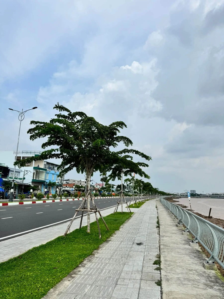 Bán 3 lô đất mặt sẹc Huỳnh Văn Nghệ 89m² 3 tỷ - Ảnh thu nhỏ 3