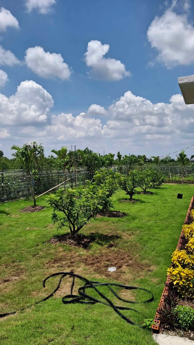 Bán đất 1000m2 có nhà vườn mới xây, ao cá tại xã Tân Thành, Thủ Thừa, Long An - Ảnh thu nhỏ 4