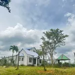 Bán đất 2ha Eakao Buôn Mê Thuột 400 triệu/sào - Ảnh thu nhỏ 4