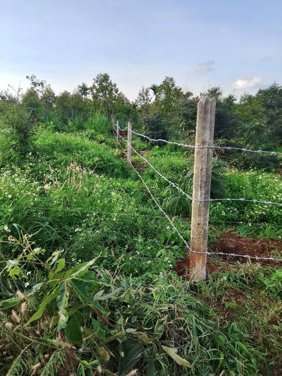Bán đất 1 sào Hoà Xuân 40m mặt tiền 550 triệu - Ảnh thu nhỏ 2