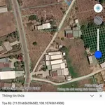 Bán đất quy hoạch 315m2, 350 triệu Hàm Chính - Ảnh thu nhỏ 3