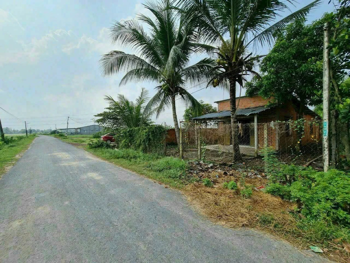 Bán đất 13x25m (325m²) Thạnh Phước Gò Dầu 1 tỷ 450 - Ảnh thu nhỏ 4