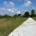 Bán đất 267m2 toàn quyền Hồ Chí Minh 2 tỷ - Ảnh thu nhỏ 1