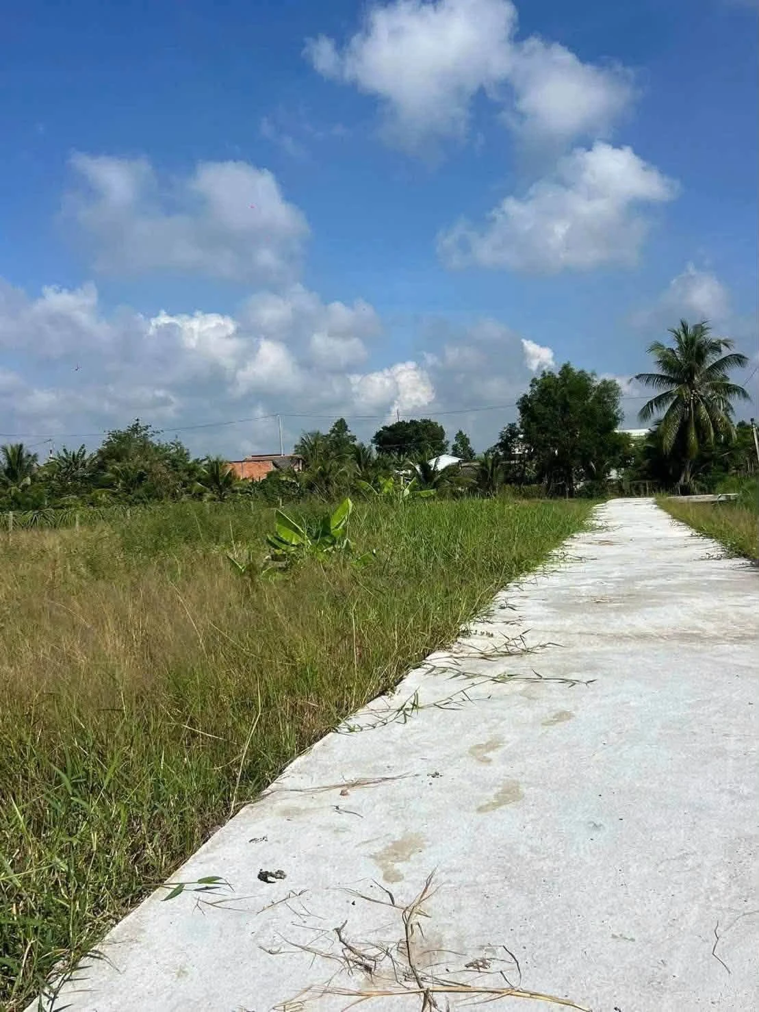 Bán đất 267m2 toàn quyền Hồ Chí Minh 2 tỷ - Ảnh 1