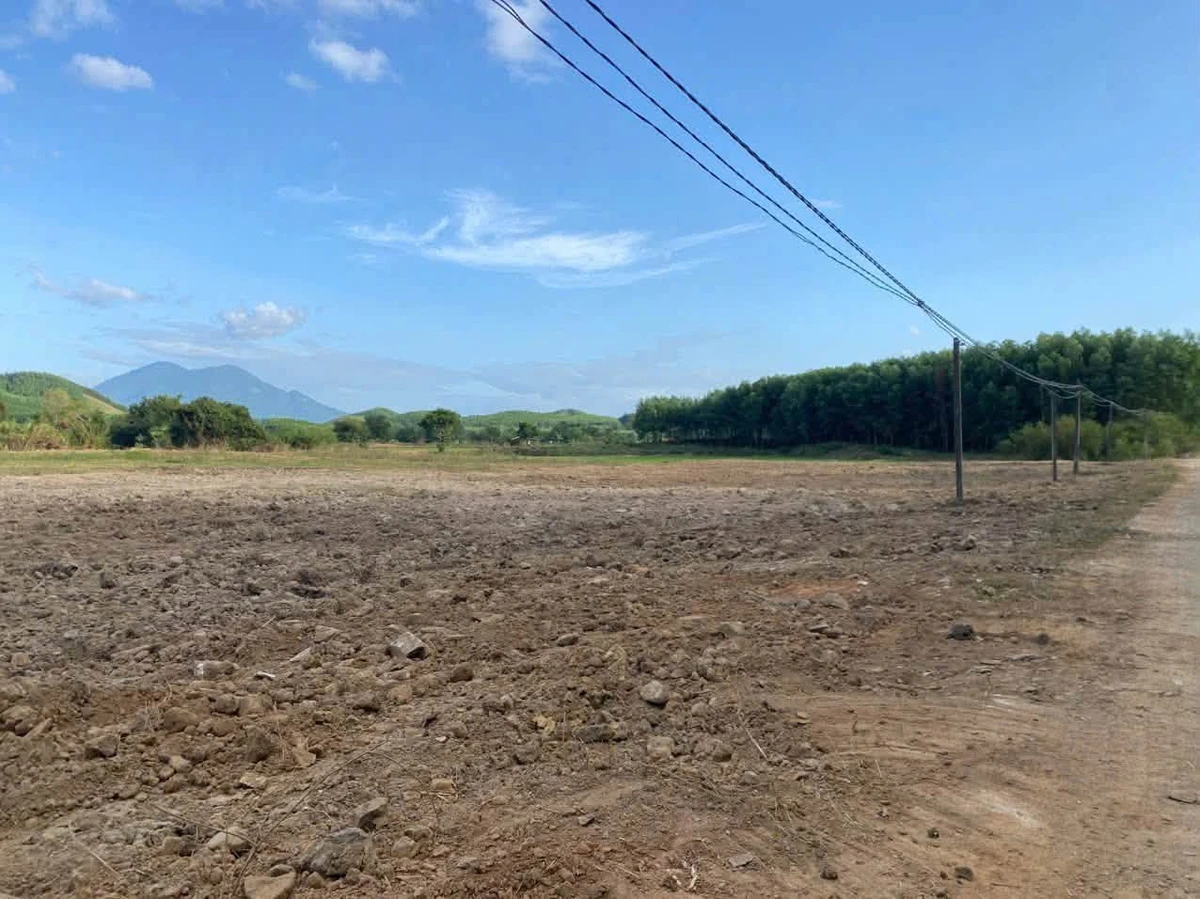 Bán lô đất làm vườn 8685m2 Khánh Hiệp, Khánh Hòa - Ảnh thu nhỏ 4
