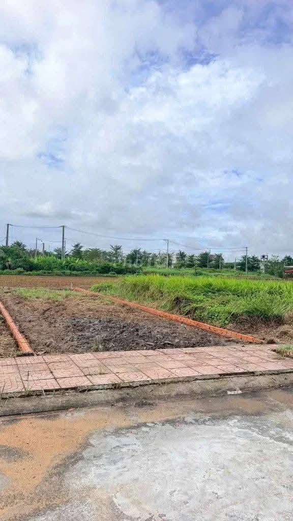 Bán gấp đất nền 88m2 KDC An Phú gần trung tâm thị trấn Cần Đước, giá 690 triệu - Ảnh thu nhỏ 3