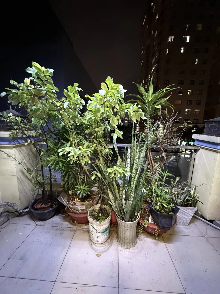 Bán nhà hẻm ô tô 96m2, trệt 2 lầu, 3PN 4WC gần Trương Phước Phan, Bình Tân - Ảnh thu nhỏ 5