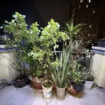 Bán nhà hẻm ô tô 96m2, trệt 2 lầu, 3PN 4WC gần Trương Phước Phan, Bình Tân - Ảnh thu nhỏ 5