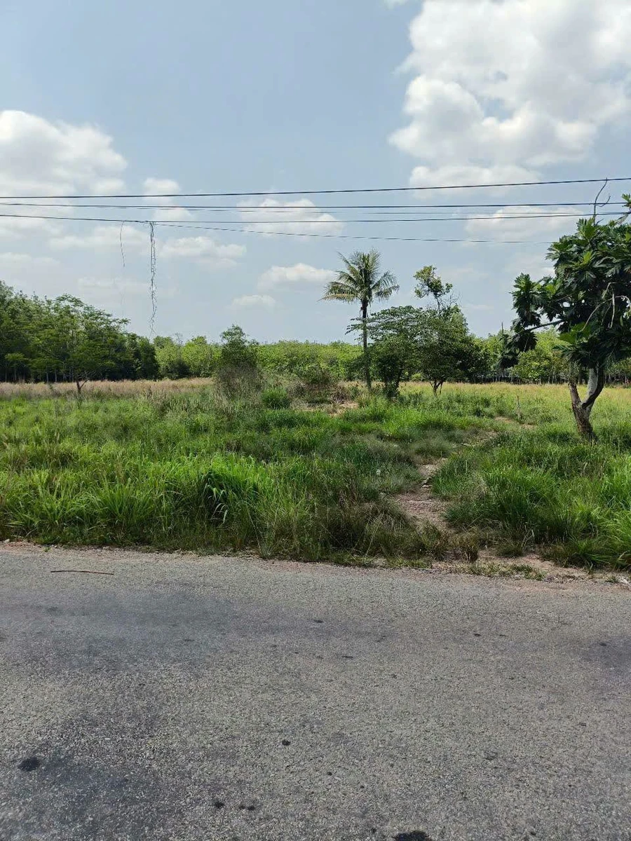 Bán đất SKC mặt tiền ĐH615 Long Nguyên, Bàu Bàng, Bình Dương 4241m2 giá 11 tỷ - Ảnh thu nhỏ 3