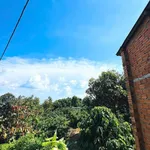 Bán đất Hóc Môn 4,2 sào (P. Tân Lập) - Ảnh thu nhỏ 5