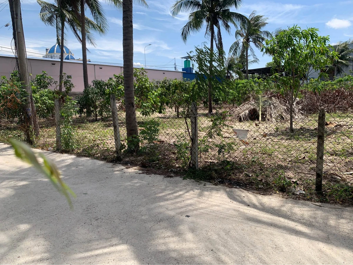 Bán đất 1000m2 mặt tiền 21m Ô Tô Thông 2 Mũi Né - Ảnh thu nhỏ 4
