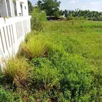 Bán đất 670m2 Phú Cường, Hàm Thắng, Lâm Đồng - Ảnh thu nhỏ 2