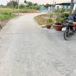 Nhà cấp 4 mặt tiền kỹ đường 202m² Trần Văn Thôi Cần Giuộc - Ảnh thu nhỏ 3