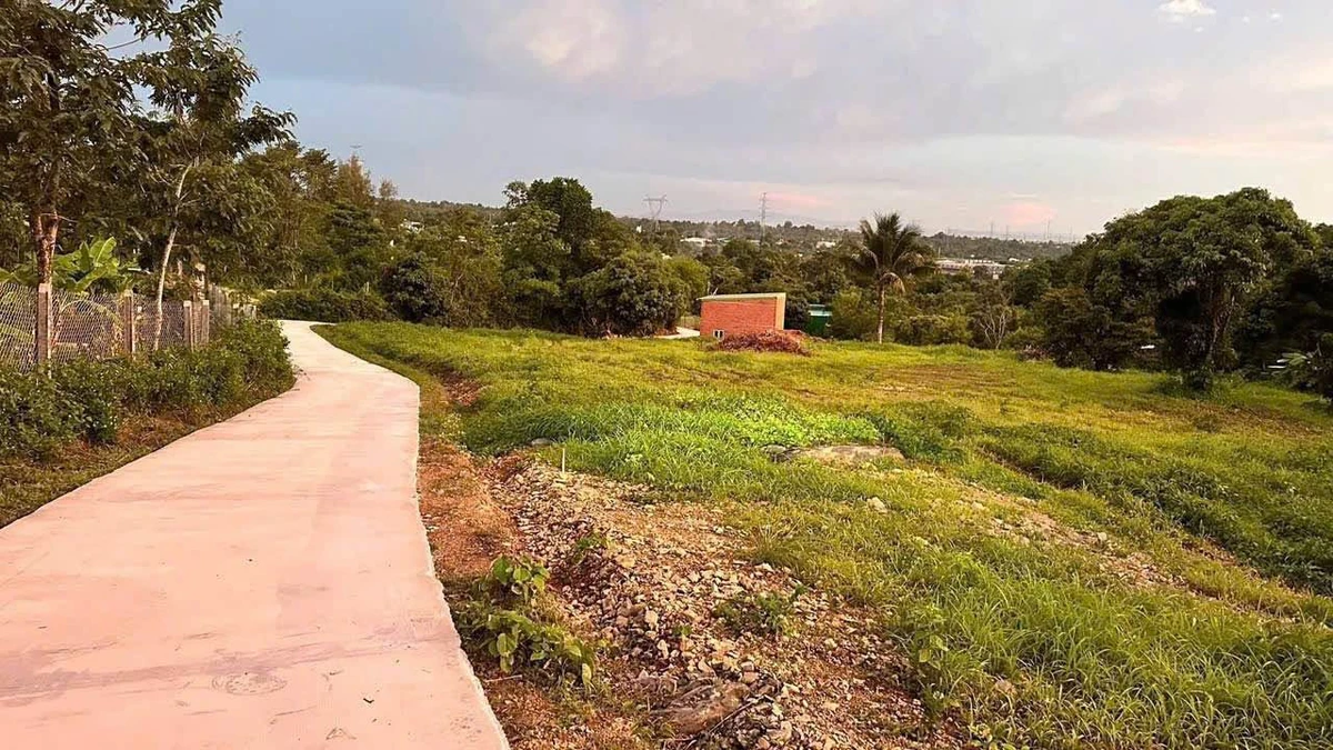 Bán lô đất 10x53m (500m²) giá 385 triệu Thành Nhất - Ảnh thu nhỏ 2