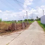 Bán đất thổ cư 5x27m giá 440 triệu tại xã Đức Tân, Tân Trụ, Long An - Ảnh thu nhỏ 3