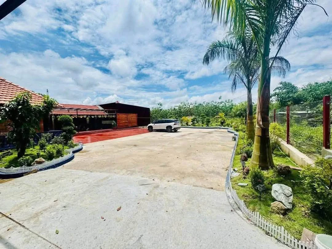 Nhà vườn 1760m2, 2PN tại An Thái, Phú Giáo, Bình Dương - Ảnh thu nhỏ 3