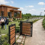 Bán gấp đất CLN 1.160m² mặt tiền Phan Thiết - Ảnh thu nhỏ 1