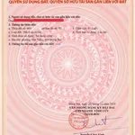 Bán đất 91m² khu Lavender Tân Triều Đồng Nai 1tỷ850 - Ảnh thu nhỏ 5
