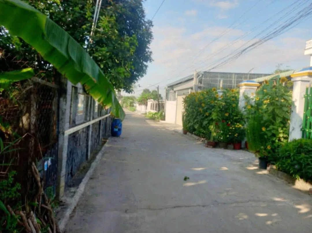Bán nhà Phú An, Bình Chánh 3 tỷ 100, diện tích lớn - Ảnh thu nhỏ 2