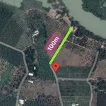 Bán vườn mít 1001m2 Xã Suối Nho Định Quán Đồng Nai - Ảnh thu nhỏ 5