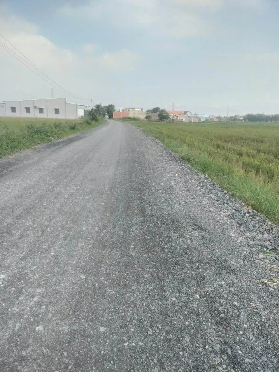 Bán dinh thự nghỉ dưỡng đất 372,5m2, 5 phòng ngủ, thang máy tại Bình Trị Đông B, Bình Tân ty050 - Ảnh 1