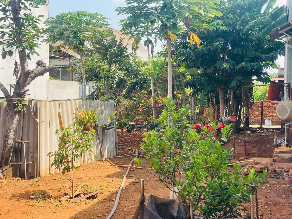Bán đất 2 mặt tiền 271m² Long Khánh, 2,4 tỷ - Ảnh thu nhỏ 3