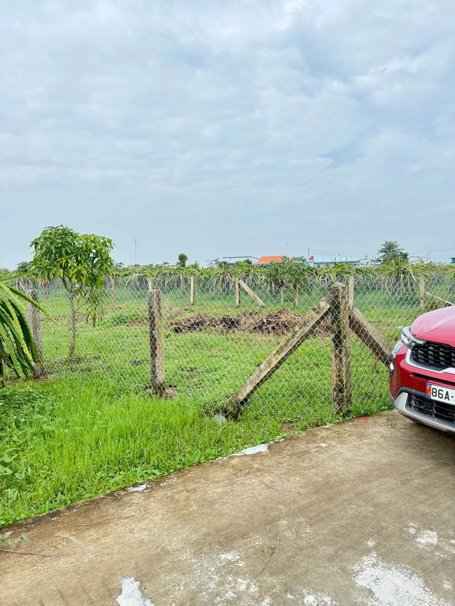 Bán 900m² đất mặt tiền Hàm Liêm, gần Phan Thiết, 479 triệu - Ảnh thu nhỏ 2