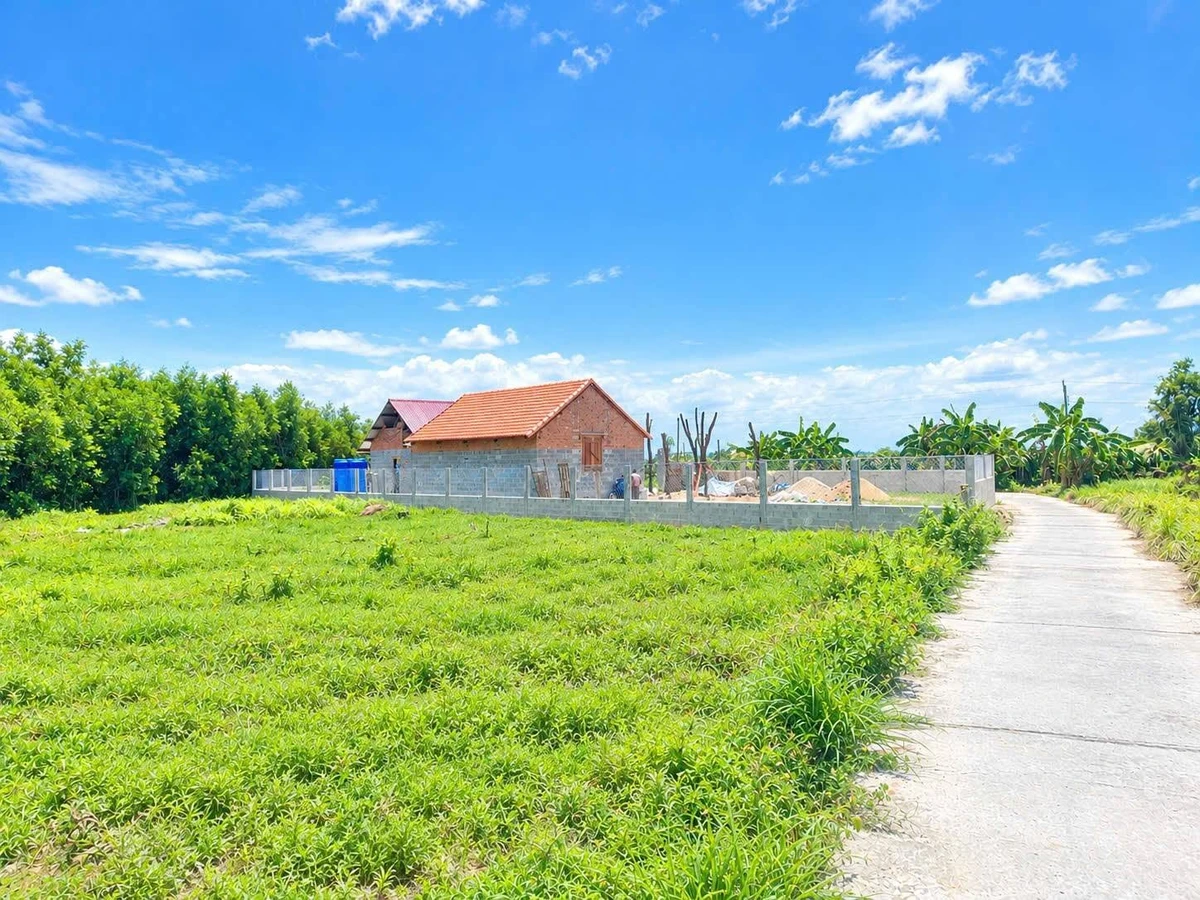 Bán đất 1000m2 Phan Thiết, sổ hồng, mặt tiền 36m - Ảnh thu nhỏ 2