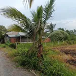 Bán đất vườn 500 m² Tây Đức Hòa giáp kênh - Ảnh thu nhỏ 2
