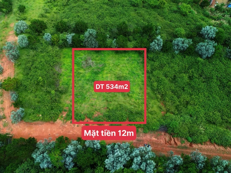 Bán đất view săn mây Lạc Dương 534m² - 2 tỷ 3