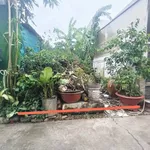 Bán đất thổ cư 4x24 (96m2) hẻm Cử Luyện, phường 5, Tân An, giá 800 triệu - Ảnh thu nhỏ 1