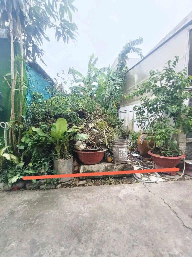 Bán đất thổ cư 4x24 (96m2) hẻm Cử Luyện, phường 5, Tân An, giá 800 triệu - Ảnh 1