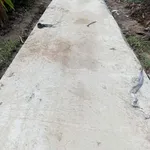 Chính chủ bán 11 công đất trồng lúa Hòa Mỹ, Hậu Giang - Ảnh thu nhỏ 1