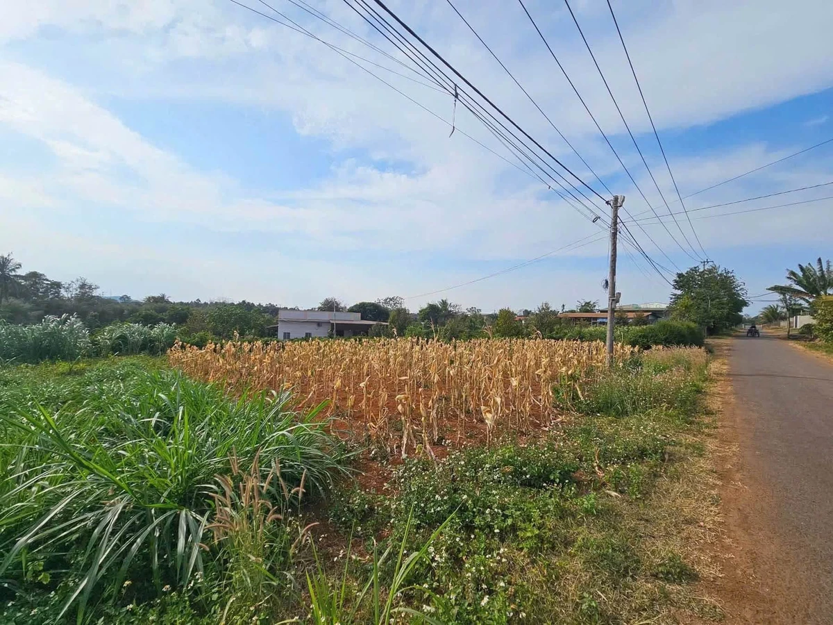 Bán đất thổ cư 131,8m² giá 780 triệu hẻm cấp 1 đường tránh Đông, phường Ea Kao - Ảnh thu nhỏ 3