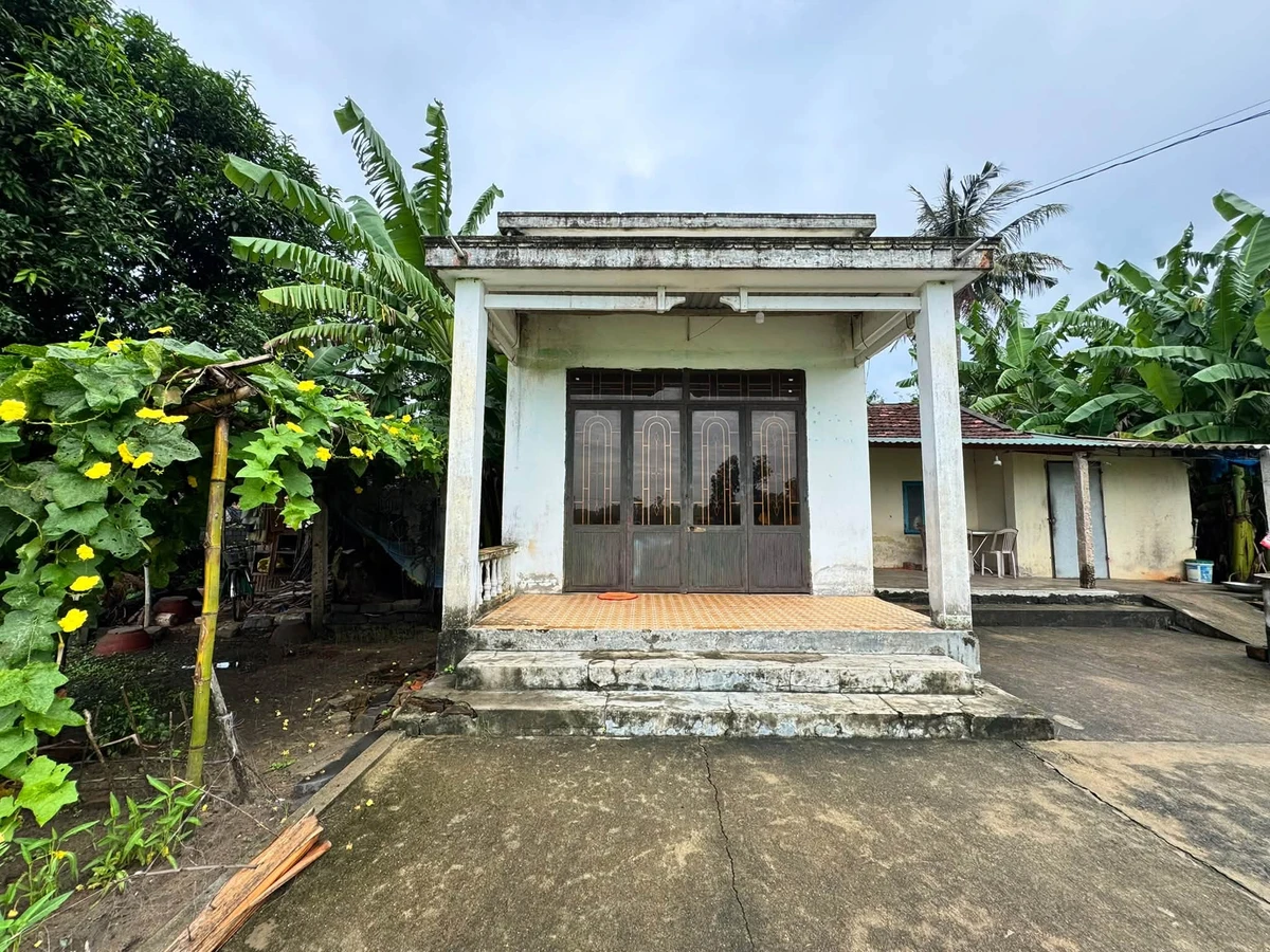 Bán đất vườn Tịnh Hoà 248m2, đường ô tô - Ảnh thu nhỏ 4