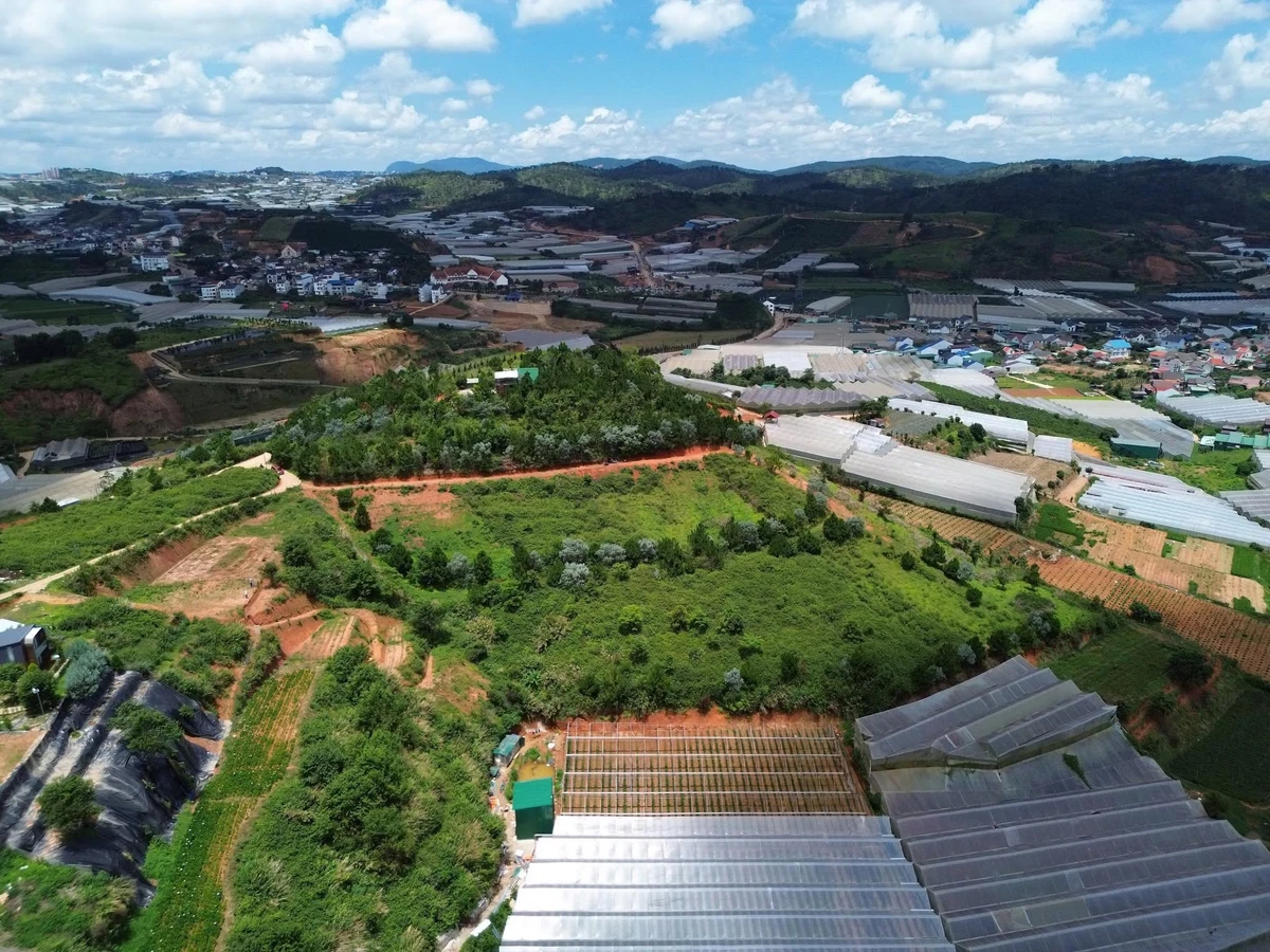 Bán đất view săn mây Lạc Dương 534m² - 2 tỷ 3 - Ảnh thu nhỏ 3