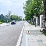 Chính chủ gửi bán song lập Chà Là, đối diện công viên to nhất Chà Là, 13,5 tỷ - Ảnh thu nhỏ 12