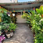 Bán nhà lô góc Quận 3 sân rộng cây xanh 55m² 12,5 tỷ - Ảnh thu nhỏ 1