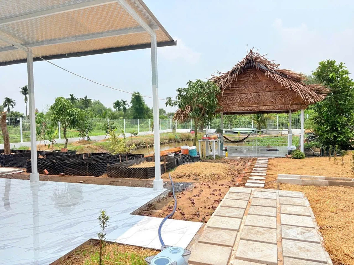 Bán nhà vườn 1068m2 full thổ cư, 3PN, giá 3,5 tỷ tại Nhựt Chánh, Bến Lức, Long An - Ảnh thu nhỏ 2