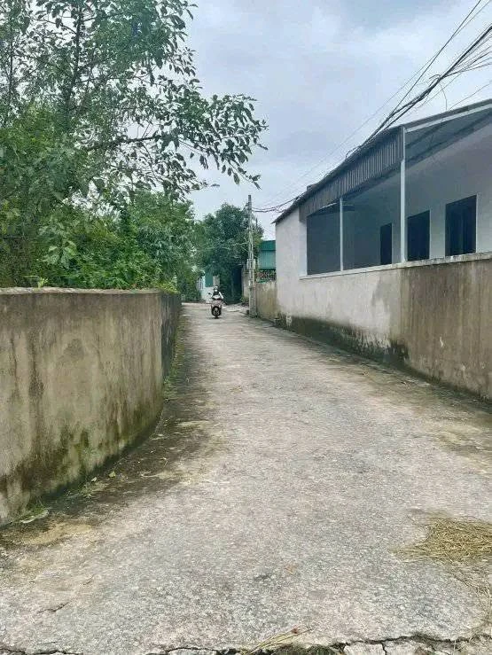 Bán lô đất 132m² đường Nhân Nghĩa, Hồ Chí Minh - Ảnh thu nhỏ 2