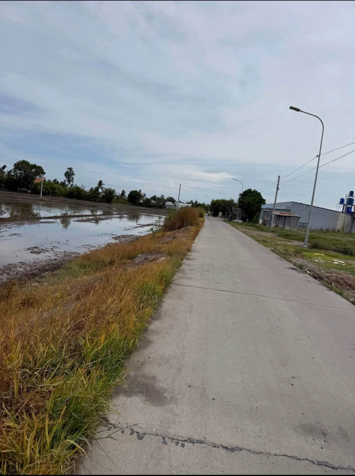 Bán 11.500m² đất lúa mặt tiền kênh Bình Chánh - Ảnh 1